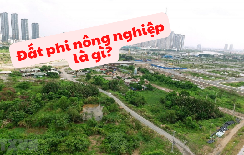 Đất phi nông nghiệp là gì