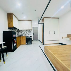 Bán căn hộ dịch vụ, chung cư mini, nhà dòng tiền quận Hai Bà Trưng, Hoàng Mai, Hà Nội